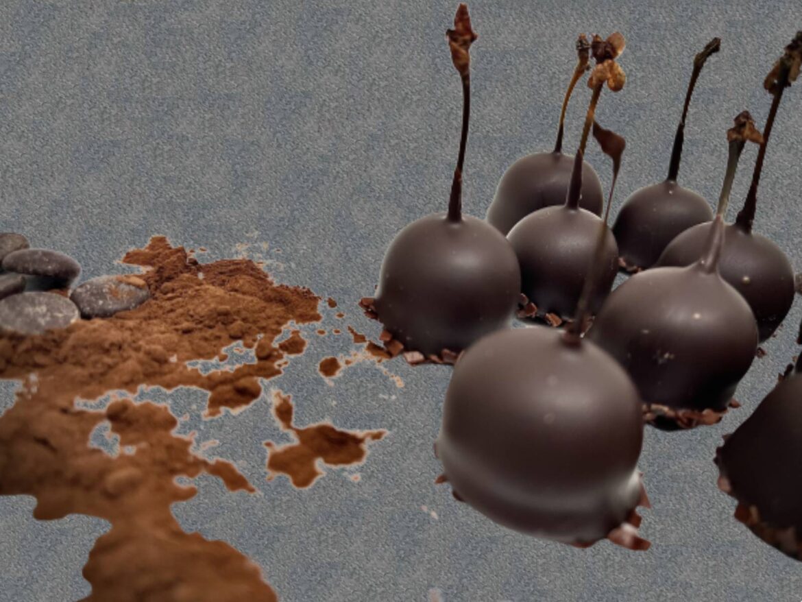 Cerise à l'eau de vie ~ Manger Vos Rêves